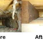 duct-cleaning-michigan