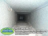 mold in ducts